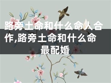 路旁土命和什么命人合作,路旁土命和什么命最配婚