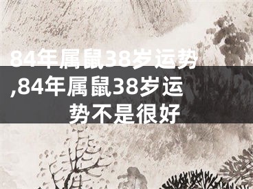 84年属鼠38岁运势,84年属鼠38岁运势不是很好