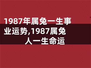 1987年属兔一生事业运势,1987属兔人一生命运