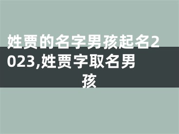 姓贾的名字男孩起名2023,姓贾字取名男孩