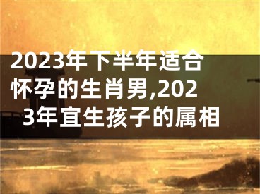 2023年下半年适合怀孕的生肖男,2023年宜生孩子的属相