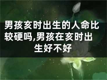 男孩亥时出生的人命比较硬吗,男孩在亥时出生好不好