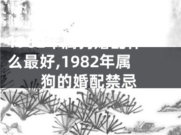 1982年属狗婚配什么最好,1982年属狗的婚配禁忌