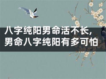 八字纯阳男命活不长,男命八字纯阳有多可怕