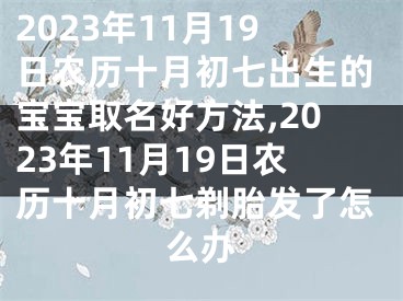 2023年11月19日农历十月初七出生的宝宝取名好方法,2023年11月19日农历十月初七剃胎发了怎么办