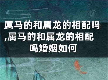 属马的和属龙的相配吗,属马的和属龙的相配吗婚姻如何