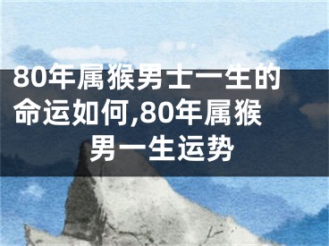 80年属猴男士一生的命运如何,80年属猴男一生运势