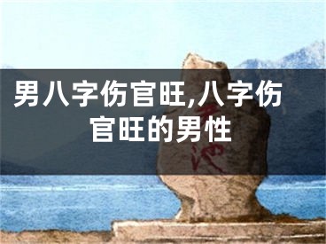 男八字伤官旺,八字伤官旺的男性