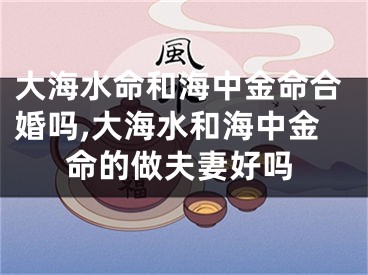 大海水命和海中金命合婚吗,大海水和海中金命的做夫妻好吗