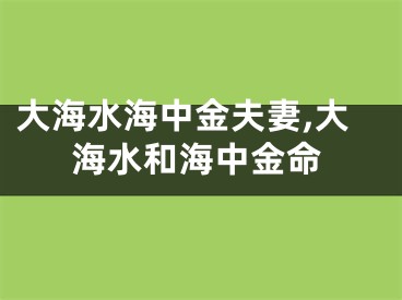 大海水海中金夫妻,大海水和海中金命