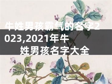 牛姓男孩霸气的名字2023,2021年牛姓男孩名字大全