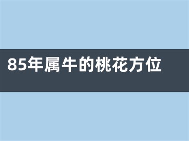 85年属牛的桃花方位