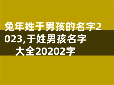 兔年姓于男孩的名字2023,于姓男孩名字大全20202字