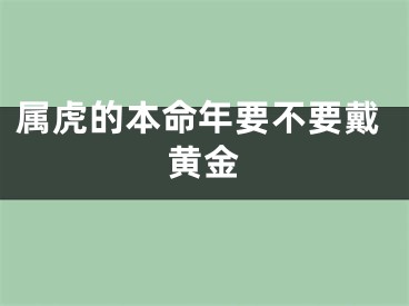 属虎的本命年要不要戴黄金