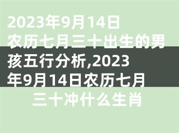 2023年9月14日农历七月三十出生的男孩五行分析,2023年9月14日农历七月三十冲什么生肖