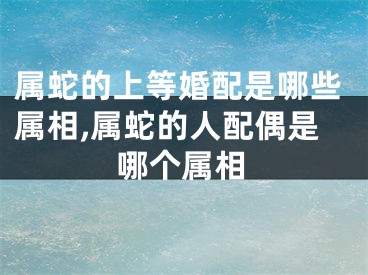 属蛇的上等婚配是哪些属相,属蛇的人配偶是哪个属相