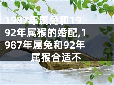 1987年属兔和1992年属猴的婚配,1987年属兔和92年属猴合适不