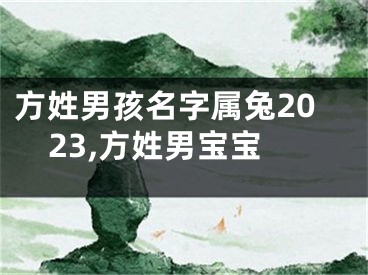 方姓男孩名字属兔2023,方姓男宝宝