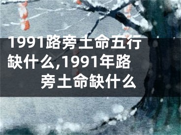 1991路旁土命五行缺什么,1991年路旁土命缺什么