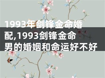 1993年剑锋金命婚配,1993剑锋金命男的婚姻和命运好不好