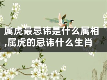 属虎最忌讳是什么属相,属虎的忌讳什么生肖