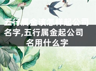 五行属金该怎样起公司名字,五行属金起公司名用什么字