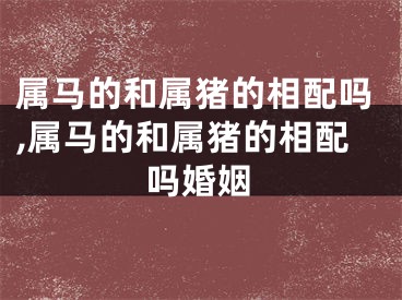 属马的和属猪的相配吗,属马的和属猪的相配吗婚姻