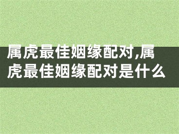 属虎最佳姻缘配对,属虎最佳姻缘配对是什么