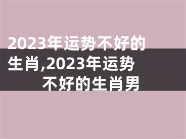 2023年运势不好的生肖,2023年运势不好的生肖男