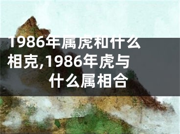 1986年属虎和什么相克,1986年虎与什么属相合