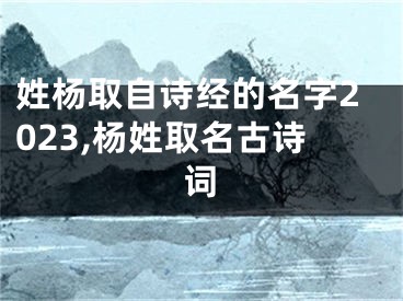 姓杨取自诗经的名字2023,杨姓取名古诗词