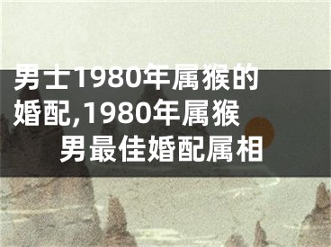 男士1980年属猴的婚配,1980年属猴男最佳婚配属相