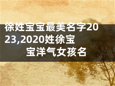 徐姓宝宝最美名字2023,2020姓徐宝宝洋气女孩名