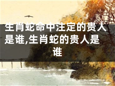 生肖蛇命中注定的贵人是谁,生肖蛇的贵人是谁