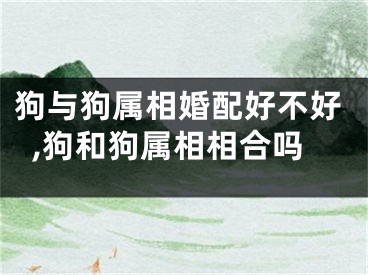 狗与狗属相婚配好不好,狗和狗属相相合吗