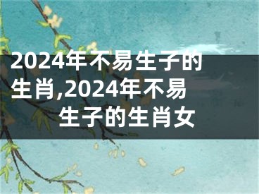 2024年不易生子的生肖,2024年不易生子的生肖女