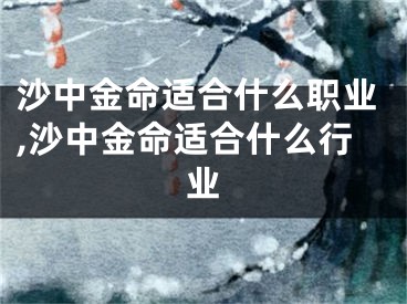 沙中金命适合什么职业,沙中金命适合什么行业