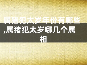 属猪犯太岁年份有哪些,属猪犯太岁哪几个属相