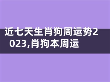 近七天生肖狗周运势2023,肖狗本周运