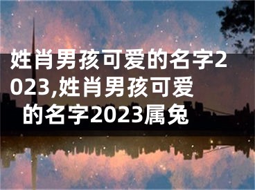 姓肖男孩可爱的名字2023,姓肖男孩可爱的名字2023属兔