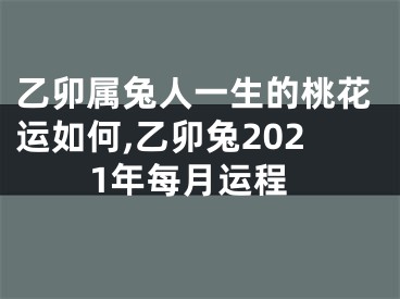 乙卯属兔人一生的桃花运如何,乙卯兔2021年每月运程