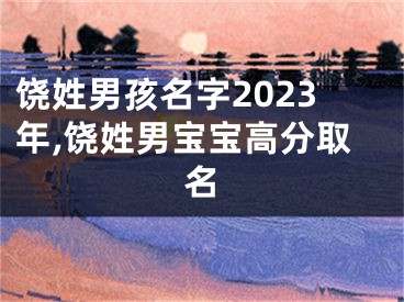 饶姓男孩名字2023年,饶姓男宝宝高分取名