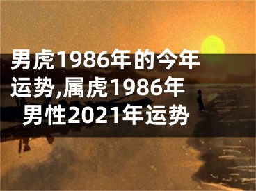 男虎1986年的今年运势,属虎1986年男性2021年运势