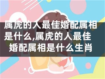 属虎的人最佳婚配属相是什么,属虎的人最佳婚配属相是什么生肖