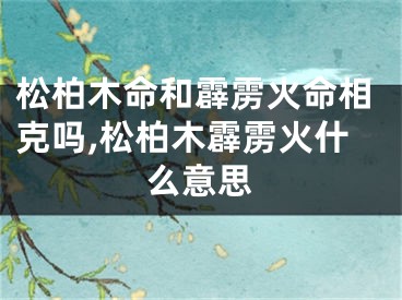 松柏木命和霹雳火命相克吗,松柏木霹雳火什么意思