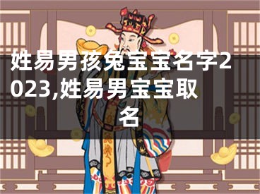 姓易男孩兔宝宝名字2023,姓易男宝宝取名