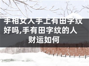 手相女人手上有田字纹好吗,手有田字纹的人财运如何