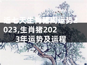 近七天生肖猪周运势2023,生肖猪2023年运势及运程