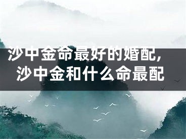 沙中金命最好的婚配,沙中金和什么命最配