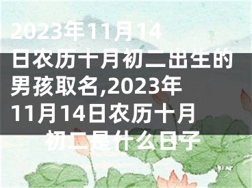 2023年11月14日农历十月初二出生的男孩取名,2023年11月14日农历十月初二是什么日子